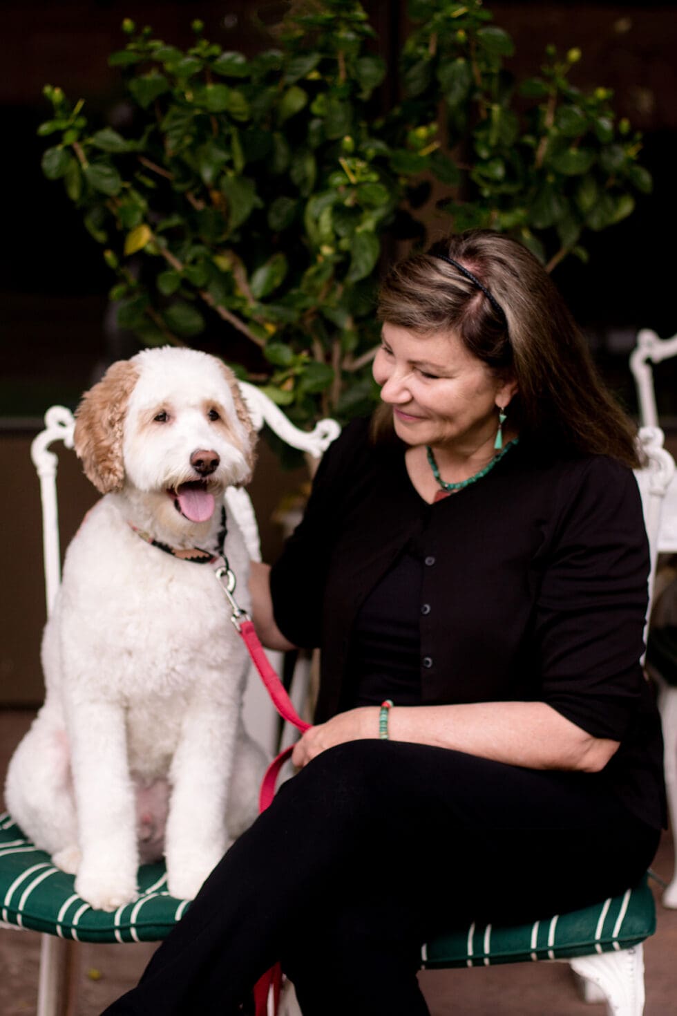 Southern Utah EMDR Consultation Cindy Jones, LCSW